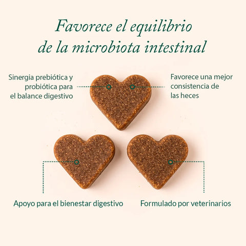 The Doog Life Suplemento Microbiome Balance 360g