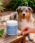 The Doog Life Suplemento Microbiome Balance 360g
