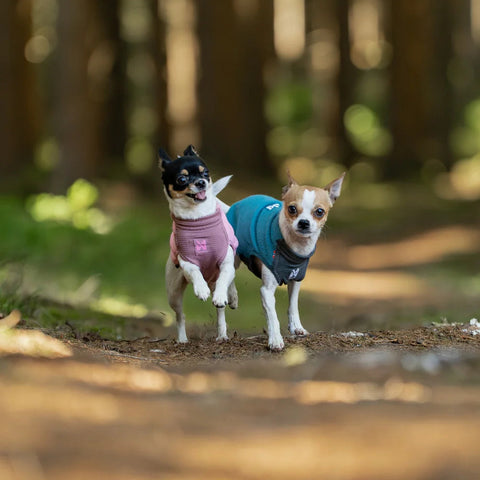 Non-stop dogwear Trail Quest Fleece Pullover – Mauve