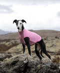 Non-stop dogwear Trail Quest Fleece Pullover – Mauve