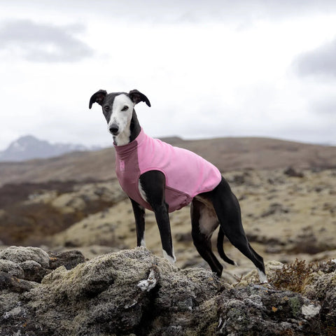 Non-stop dogwear Trail Quest Fleece Pullover – Mauve