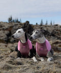 Non-stop dogwear Trail Quest Fleece Pullover – Mauve