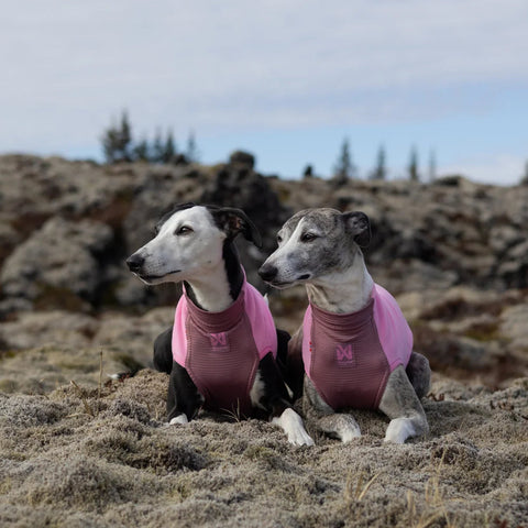 Non-stop dogwear Trail Quest Fleece Pullover – Mauve