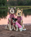 Non-stop dogwear Trail Quest Fleece Pullover – Mauve
