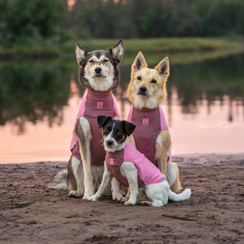 Non-stop dogwear Trail Quest Fleece Pullover – Mauve