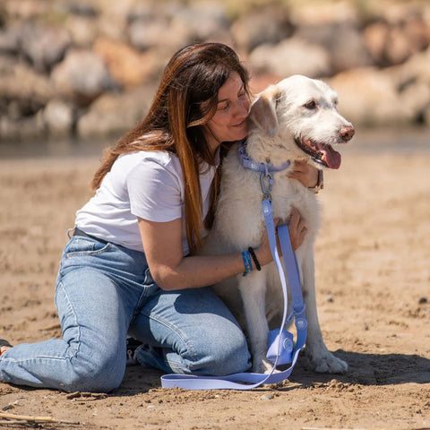 Dukier Correa Waterproof Blue Lavander para Perro