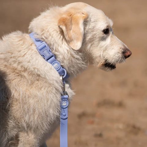 Dukier Correa Waterproof Blue Lavander para Perro