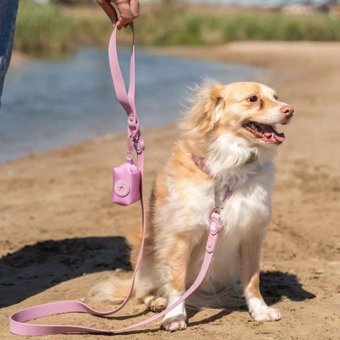 Dukier Correa Waterproof Mauve para Perro