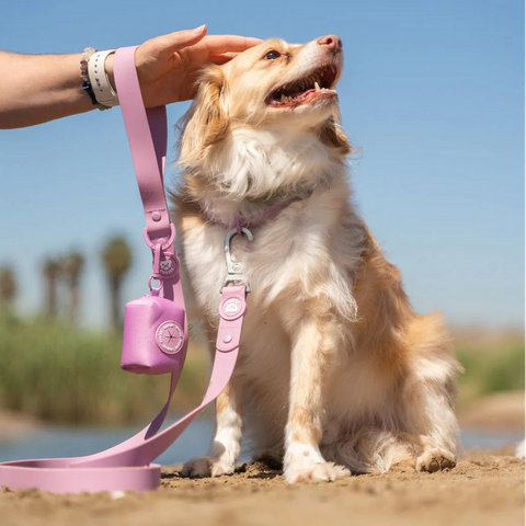 Dukier Porta Bolsas Mauve para Perro