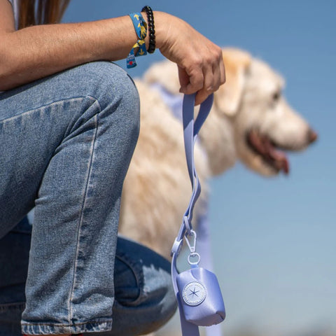 Dukier Correa Waterproof Blue Lavander para Perro