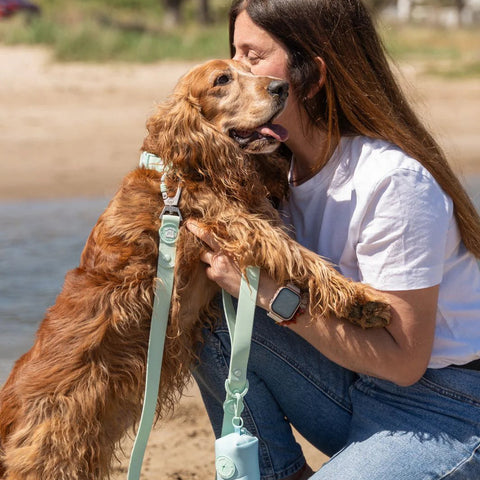 Dukier Correa Waterproof Turquoise para Perro