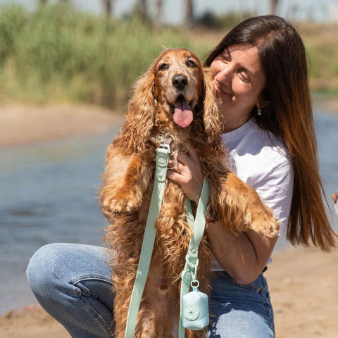 Dukier Correa Waterproof Turquoise para Perro