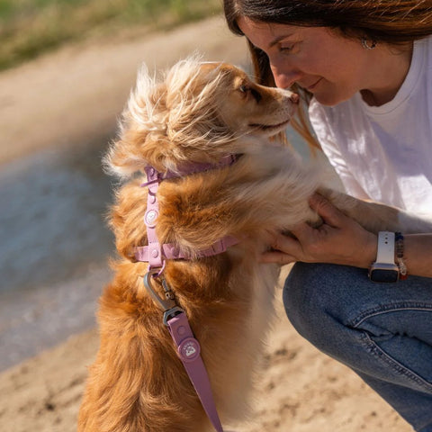 Dukier Arnés Waterproof Mauve para Perro
