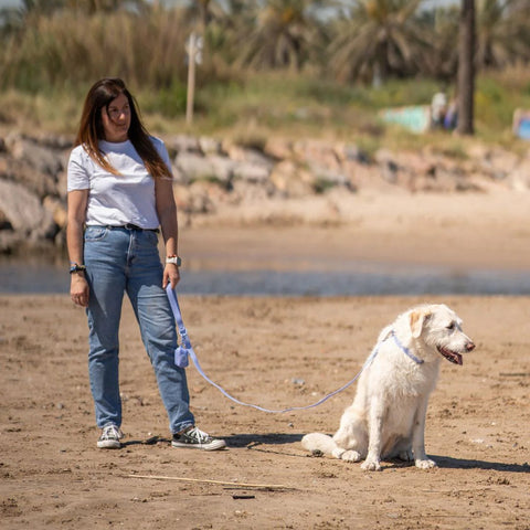 Dukier Correa Waterproof Blue Lavander para Perro
