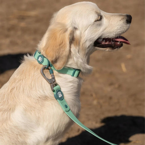 Dukier Collar Waterproof Jade Mint