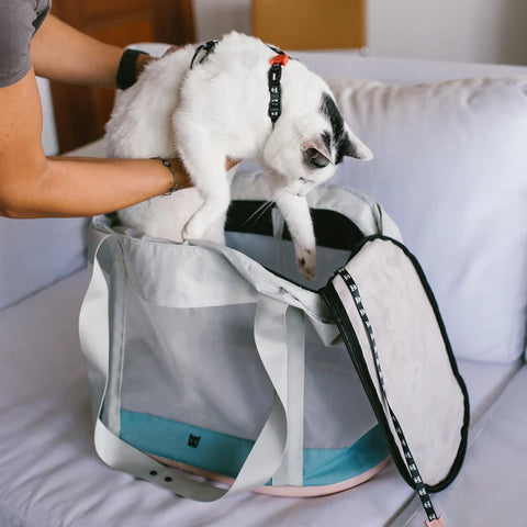 Zeedog Zee.Cat Bolso Transportin Kombucha